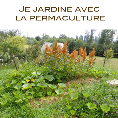 Je jardine avec la permaculture