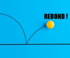 RebonD_rebond-sq.jpg